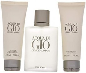 Giorgio Armani Acqua Di Gio Edt Erkek Parfüm Seti 100 Ml